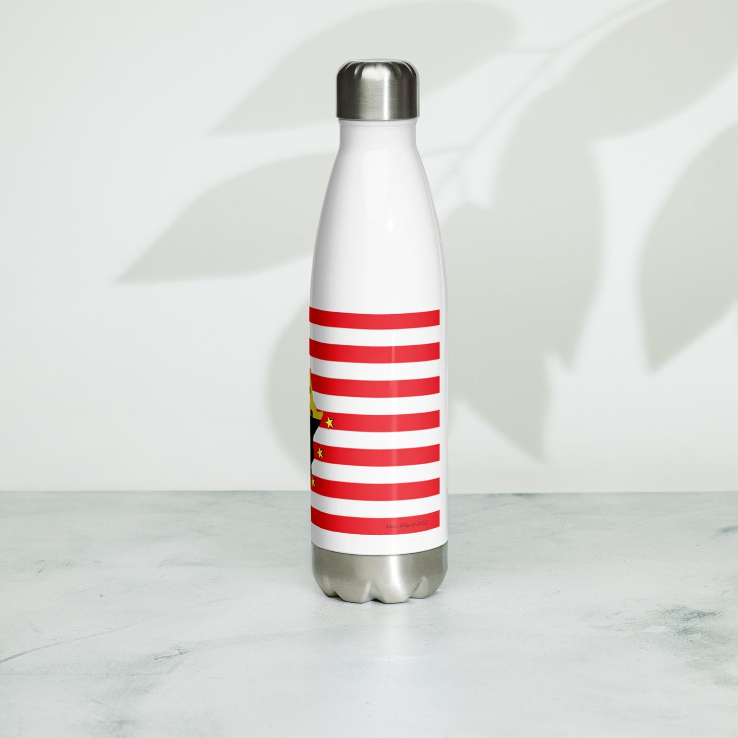 African American Unity Flag Water Bottle - Stainless Steel